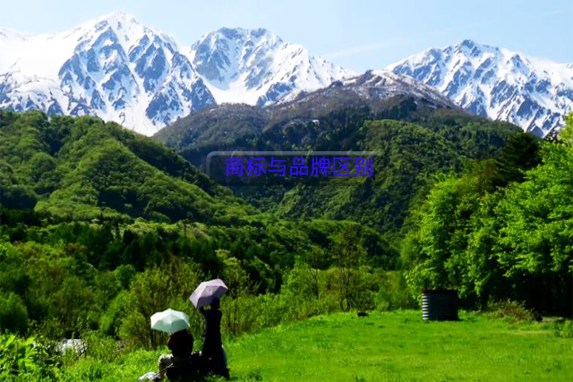 商標(biāo)與品牌之間的區(qū)別有哪些? 商標(biāo)與品牌之間的區(qū)別有哪些?